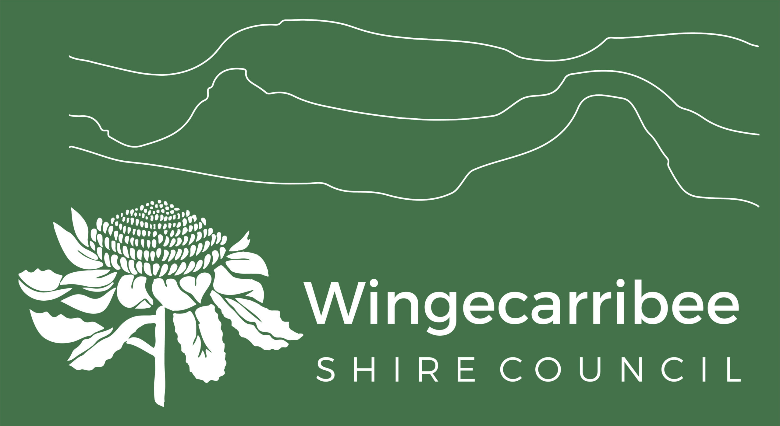 Logo of Wingecarriee Shire Council with a white protea flower on a green background and abstract white lines above